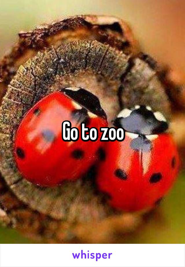 Go to zoo