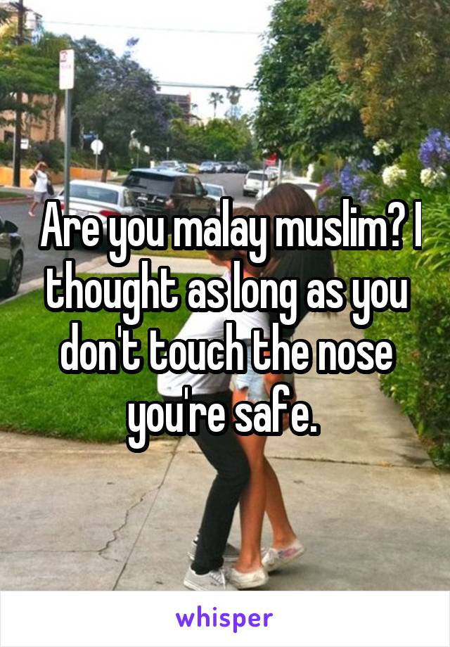  Are you malay muslim? I thought as long as you don't touch the nose you're safe. 