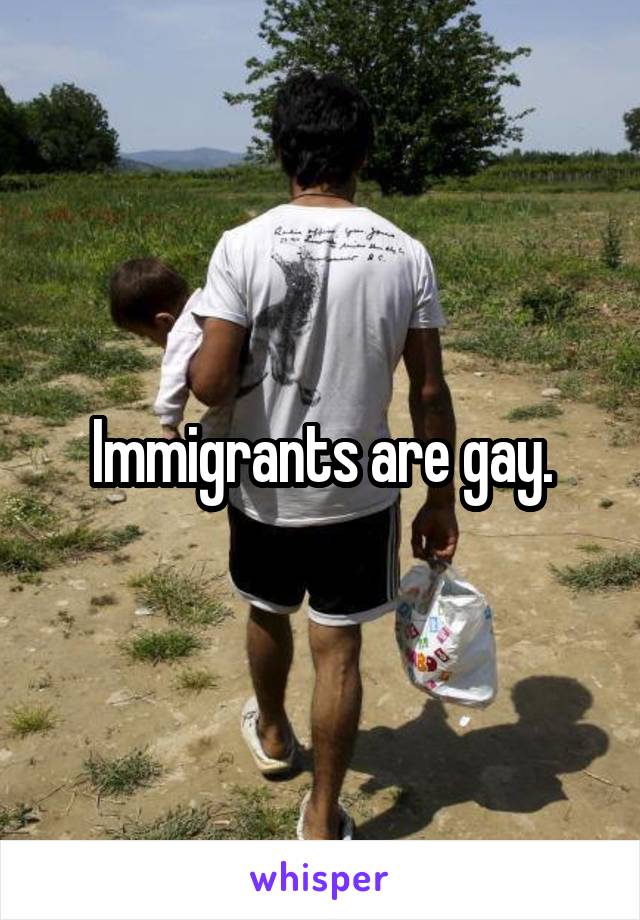 Immigrants are gay.