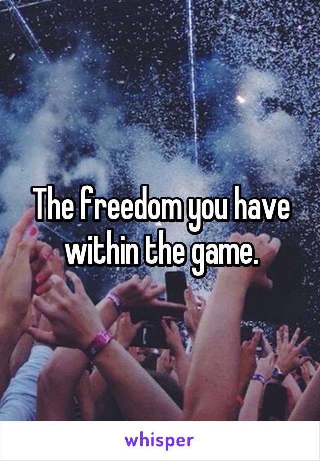 The freedom you have within the game.