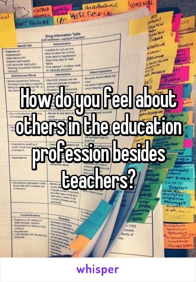 How do you feel about others in the education profession besides teachers?
