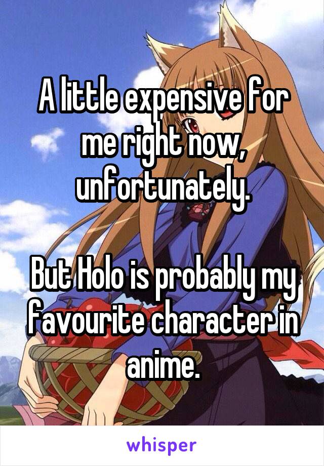 A little expensive for me right now, unfortunately.

But Holo is probably my favourite character in anime.