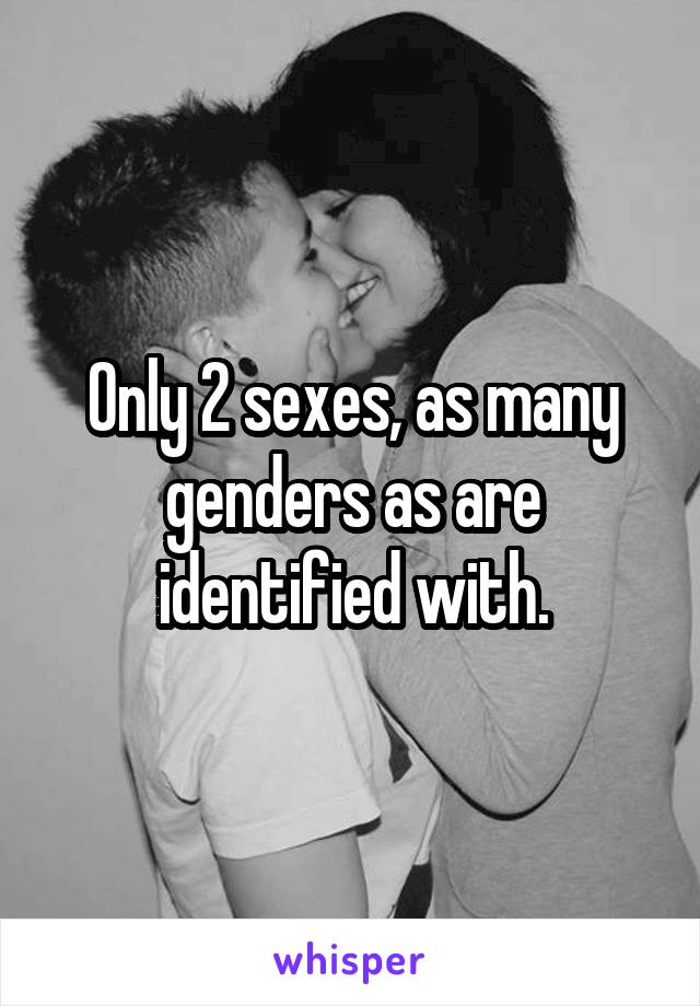 Only 2 sexes, as many genders as are identified with.