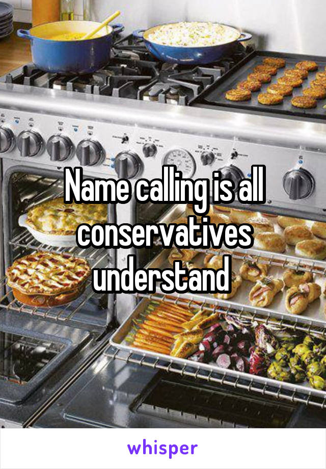 Name calling is all conservatives understand 