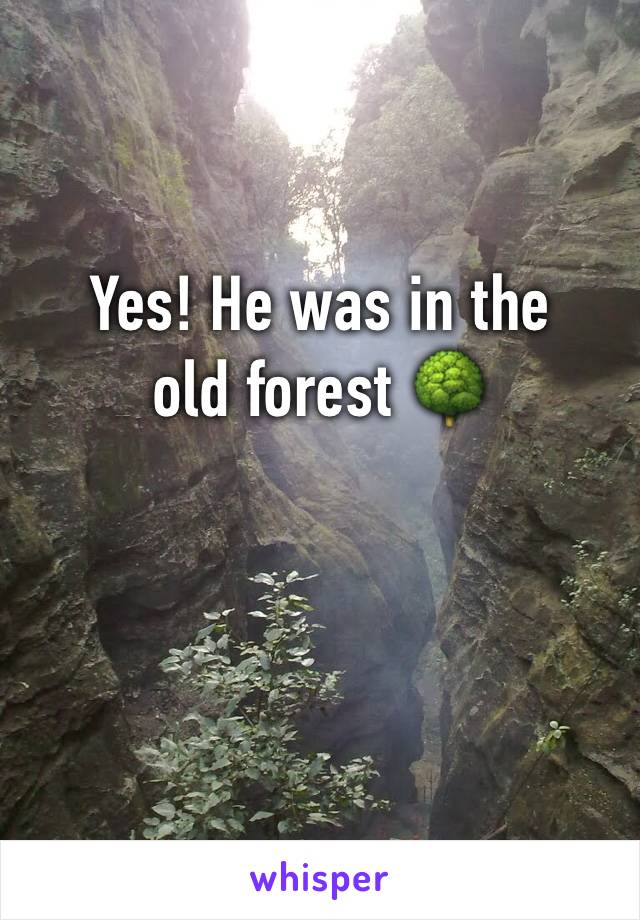 Yes! He was in the old forest 🌳 