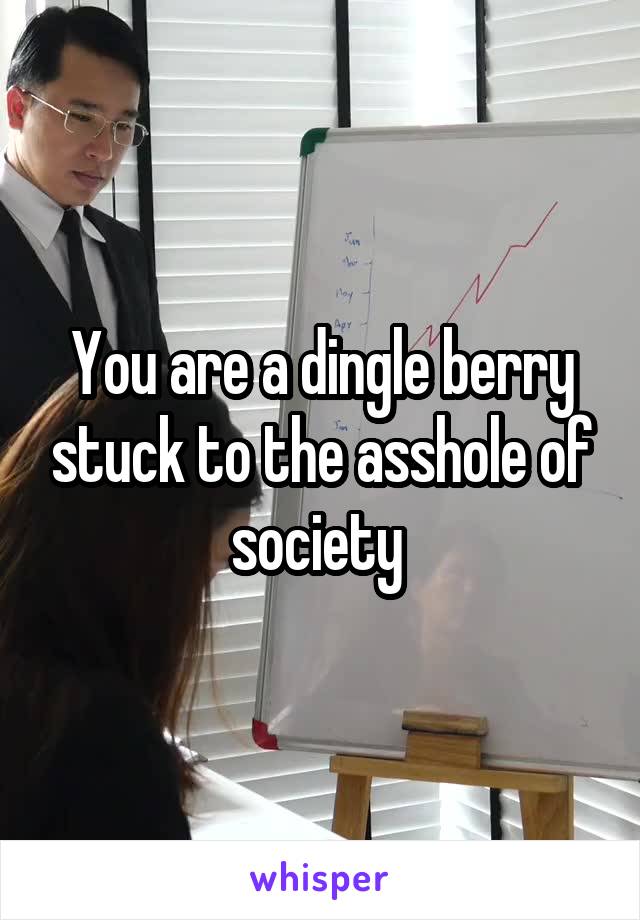 You are a dingle berry stuck to the asshole of society 