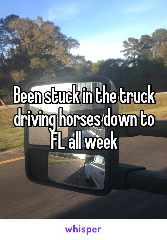 Been stuck in the truck driving horses down to FL all week