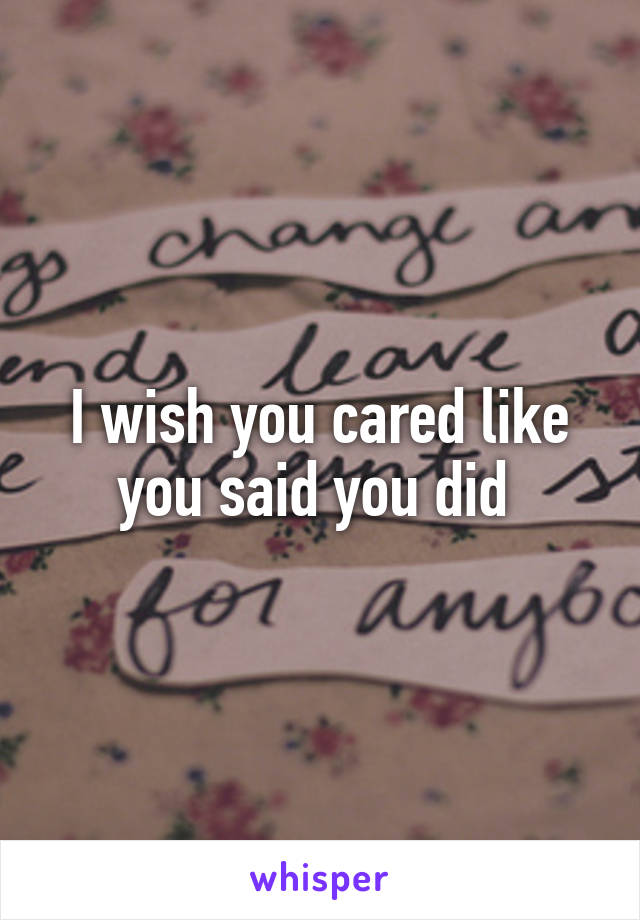 I wish you cared like you said you did 