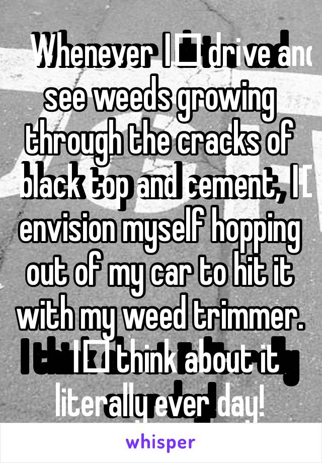 Whenever I️ drive and see weeds growing through the cracks of black top and cement, I️ envision myself hopping out of my car to hit it with my weed trimmer.  I️ think about it literally ever day!