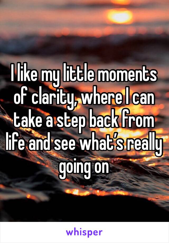 I like my little moments of clarity, where I can take a step back from life and see what’s really going on