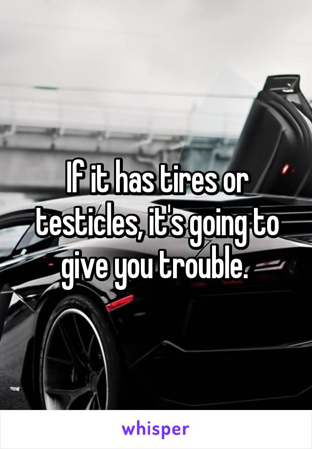 If it has tires or testicles, it's going to give you trouble. 
