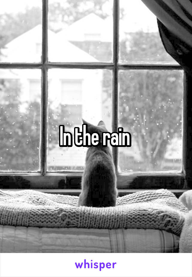 In the rain 