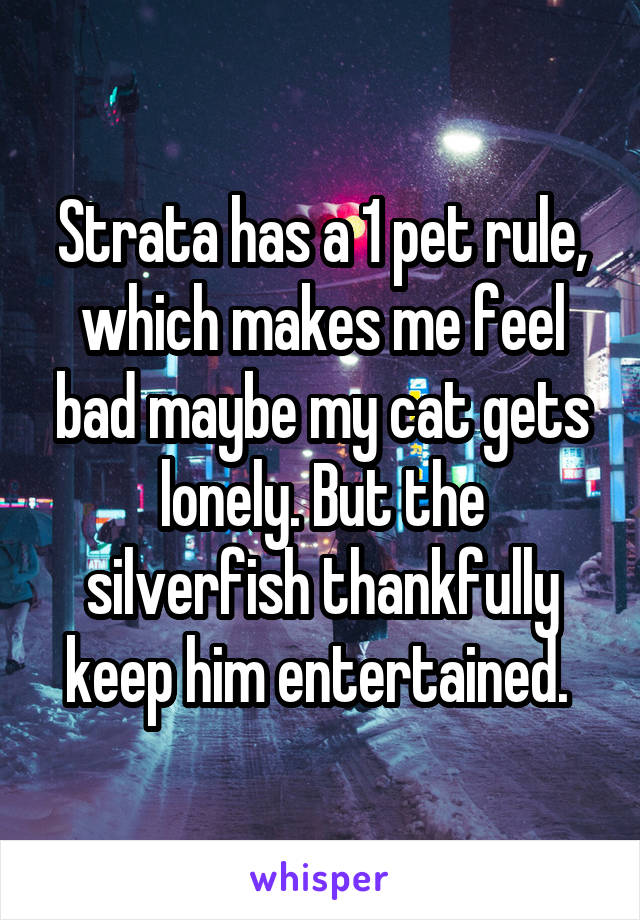 Strata has a 1 pet rule, which makes me feel bad maybe my cat gets lonely. But the silverfish thankfully keep him entertained. 