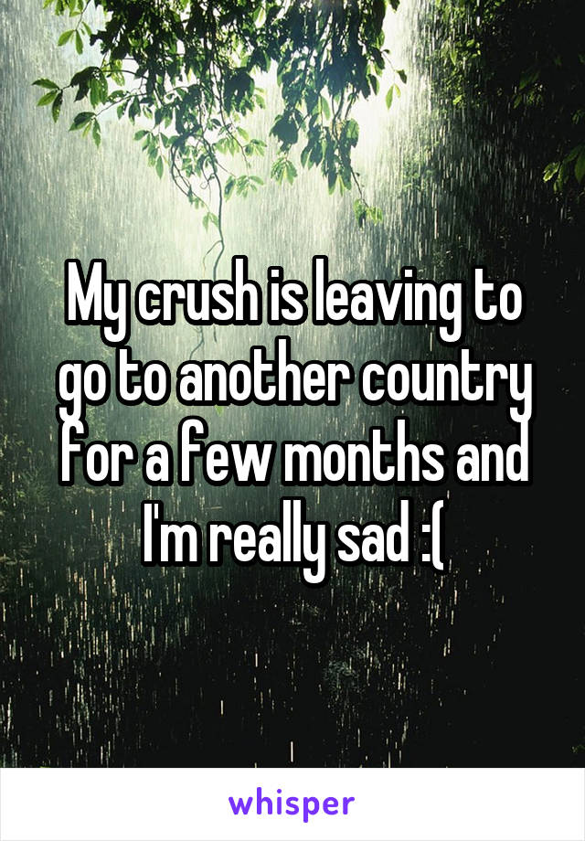 My crush is leaving to go to another country for a few months and I'm really sad :(