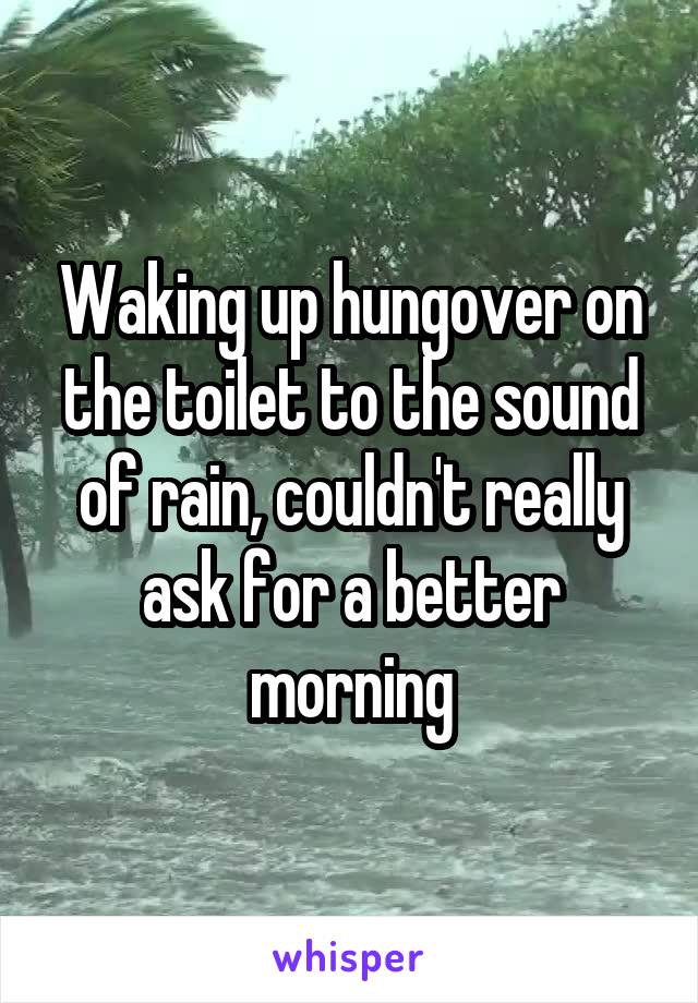 Waking up hungover on the toilet to the sound of rain, couldn't really ask for a better morning