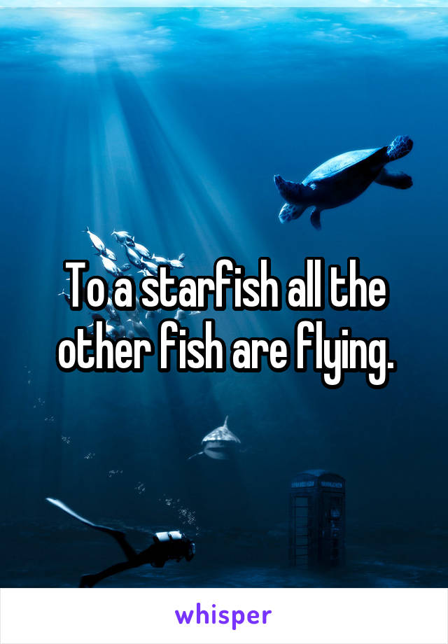 To a starfish all the other fish are flying.
