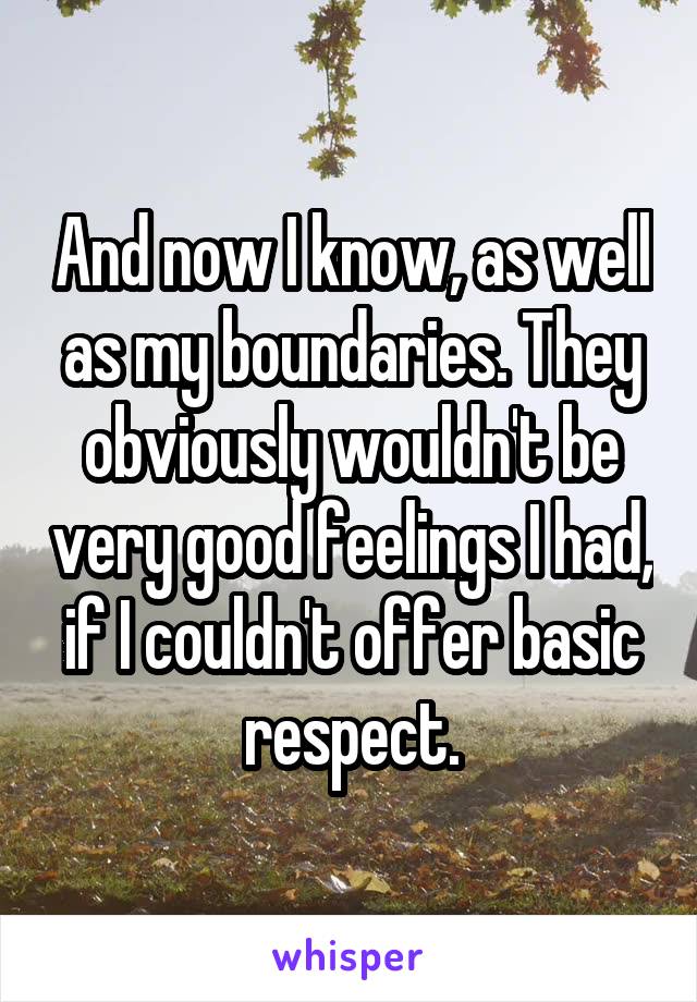 And now I know, as well as my boundaries. They obviously wouldn't be very good feelings I had, if I couldn't offer basic respect.