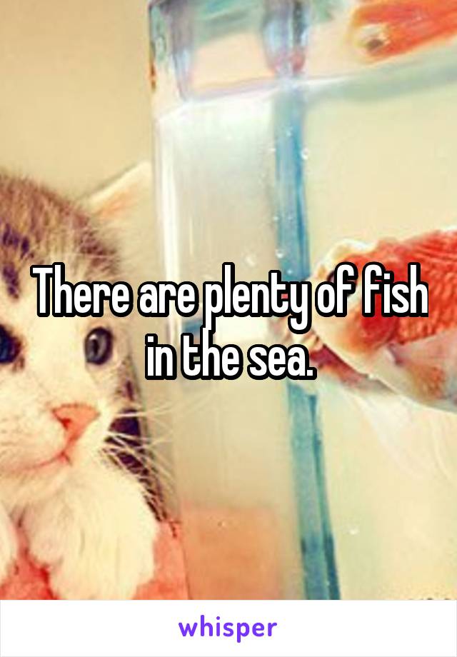 There are plenty of fish in the sea.