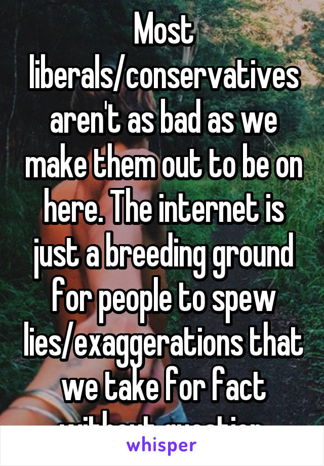 Most liberals/conservatives aren't as bad as we make them out to be on here. The internet is just a breeding ground for people to spew lies/exaggerations that we take for fact without question.