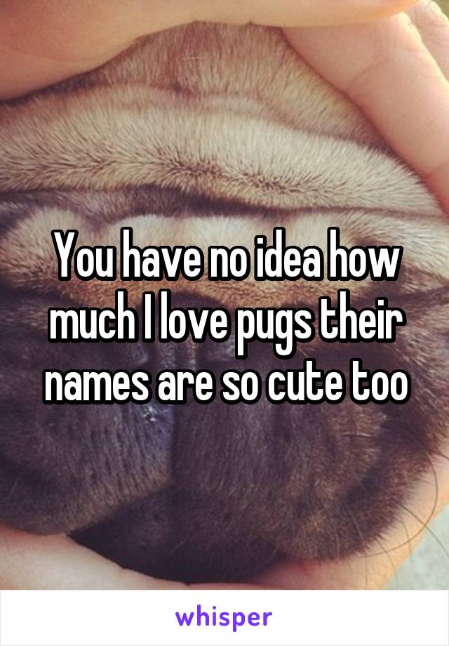 You have no idea how much I love pugs their names are so cute too