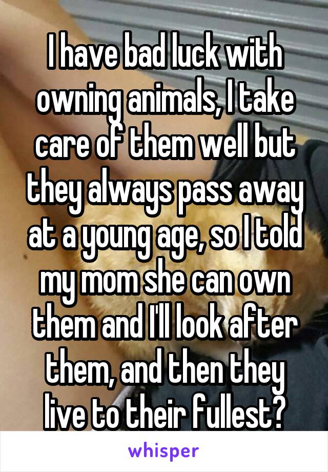 I have bad luck with owning animals, I take care of them well but they always pass away at a young age, so I told my mom she can own them and I'll look after them, and then they live to their fullest?