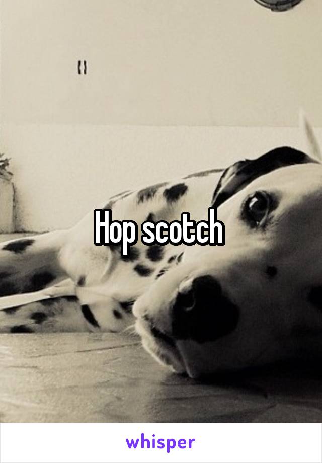 Hop scotch 