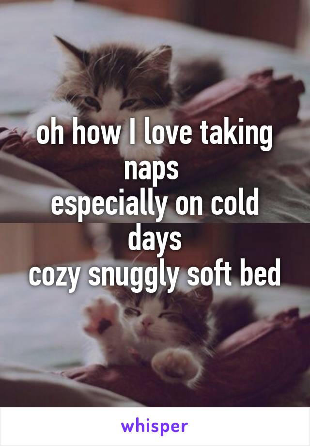 oh how I love taking naps 
especially on cold days
cozy snuggly soft bed 