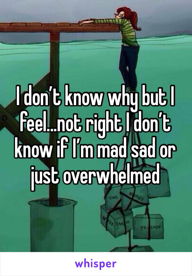 I don’t know why but I feel...not right I don’t know if I’m mad sad or just overwhelmed 