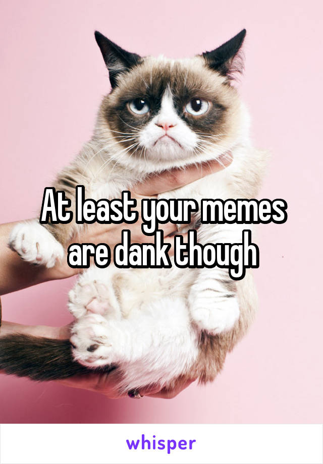 At least your memes are dank though