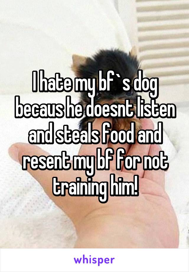 I hate my bf`s dog becaus he doesnt listen and steals food and resent my bf for not training him!