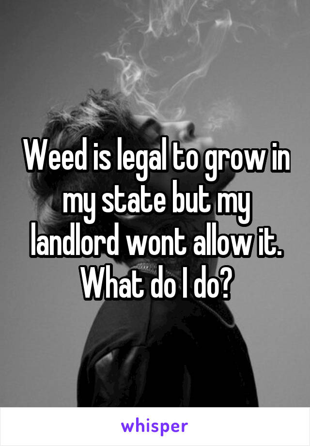 Weed is legal to grow in my state but my landlord wont allow it. What do I do?