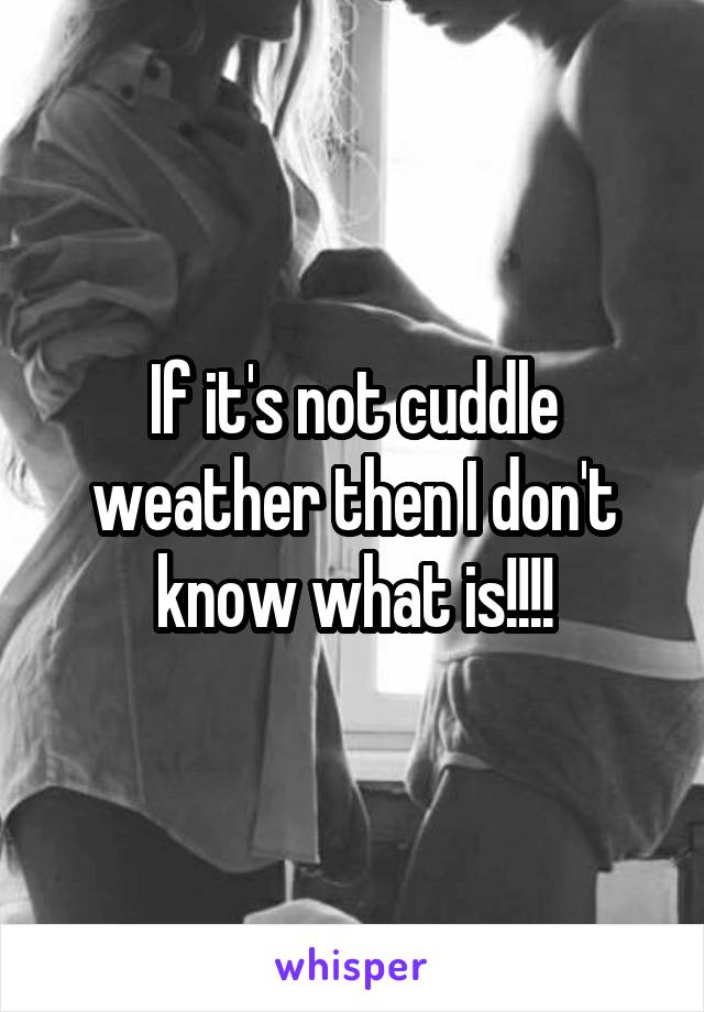 If it's not cuddle weather then I don't know what is!!!!