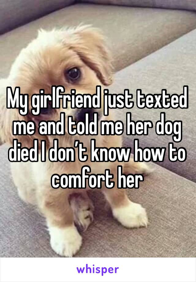 My girlfriend just texted me and told me her dog died I don’t know how to comfort her 