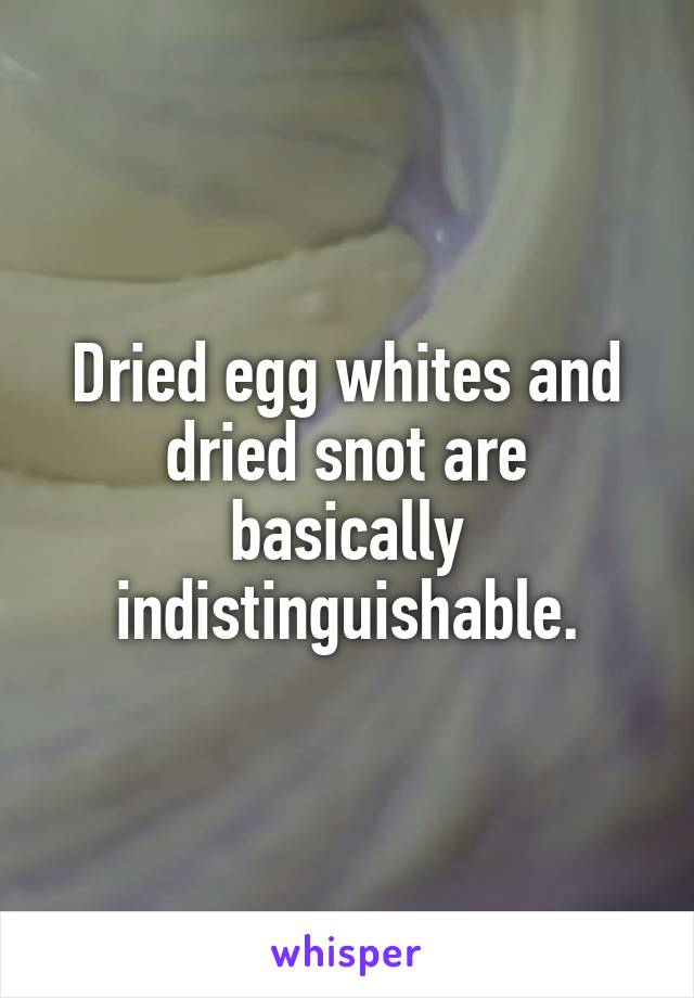 Dried egg whites and dried snot are basically indistinguishable.