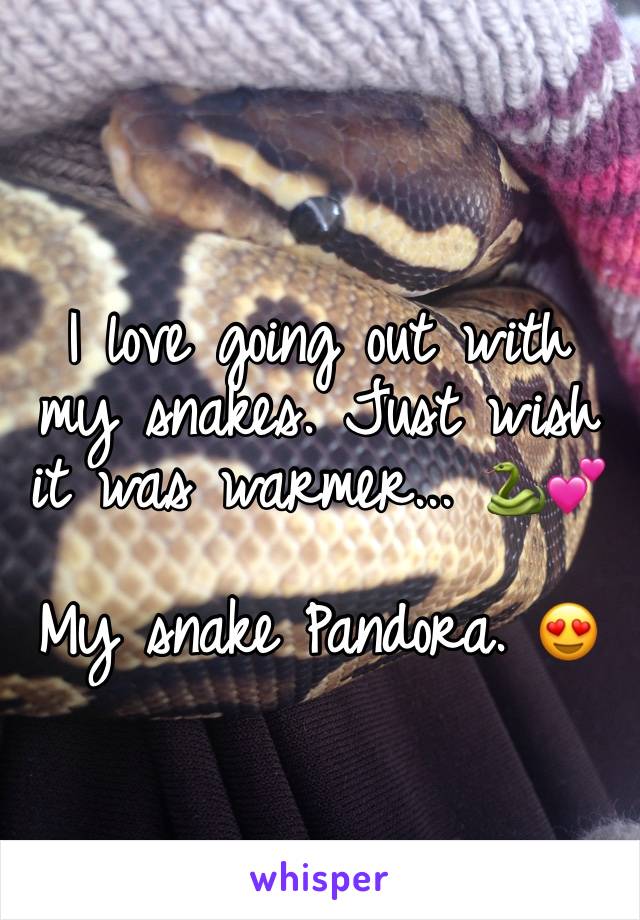 I love going out with my snakes. Just wish it was warmer... 🐍💕

My snake Pandora. 😍