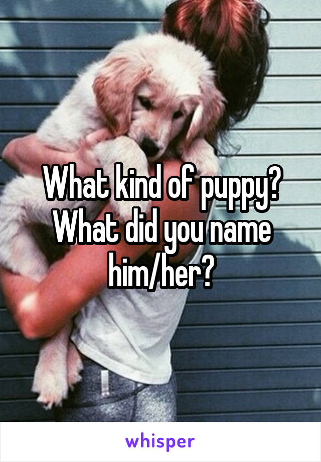 What kind of puppy?
What did you name him/her?