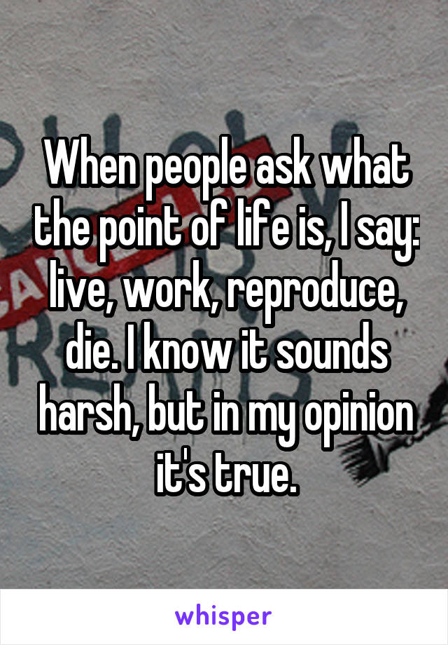 When people ask what the point of life is, I say: live, work, reproduce, die. I know it sounds harsh, but in my opinion it's true.