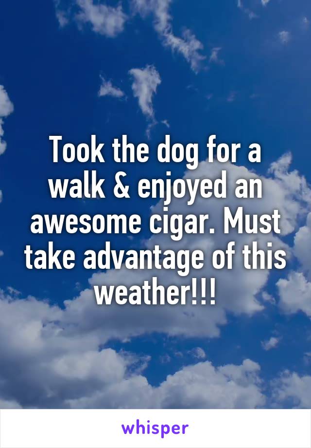 Took the dog for a walk & enjoyed an awesome cigar. Must take advantage of this weather!!!