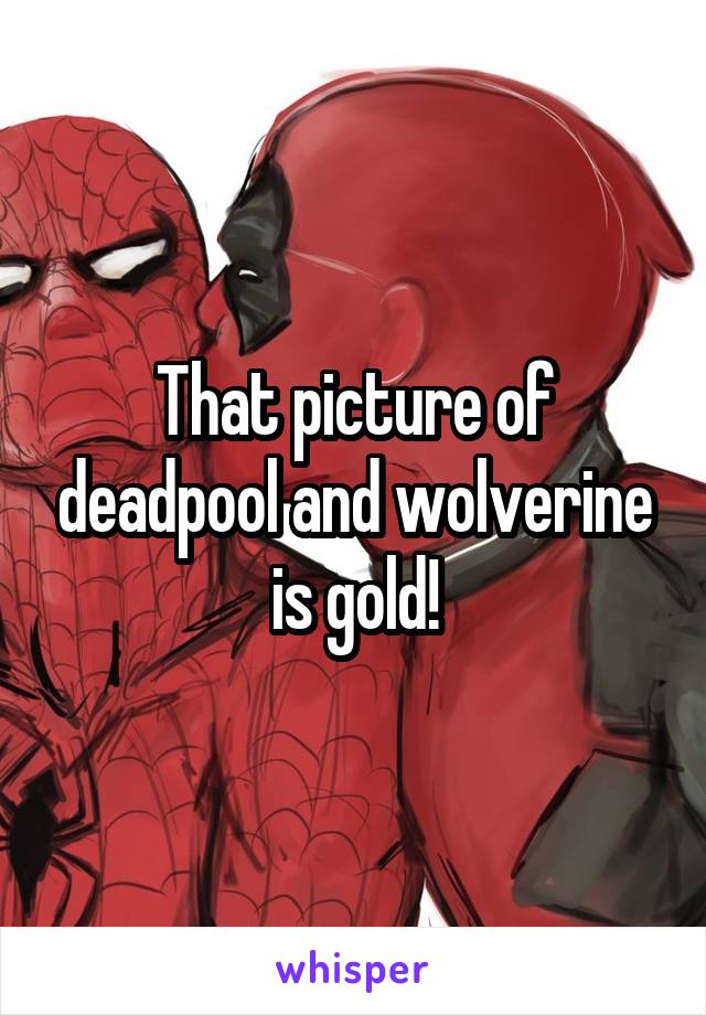 That picture of deadpool and wolverine is gold!