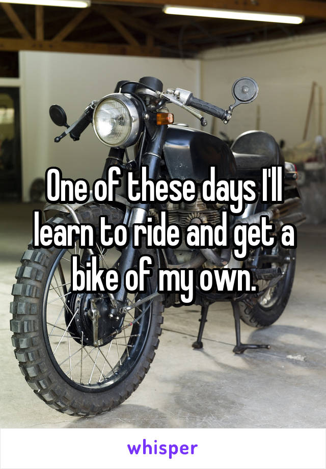 One of these days I'll learn to ride and get a bike of my own.