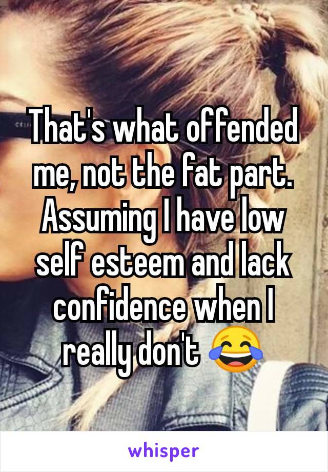 That's what offended me, not the fat part. Assuming I have low self esteem and lack confidence when I really don't 😂