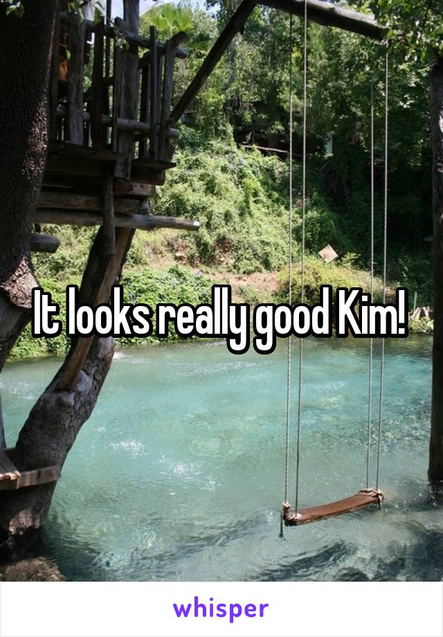 It looks really good Kim! 