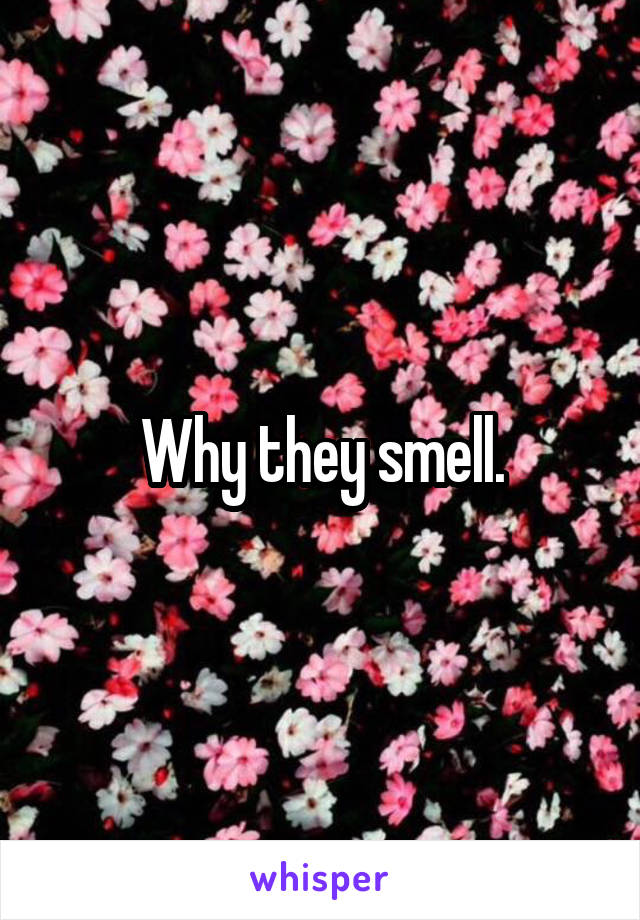 Why they smell.