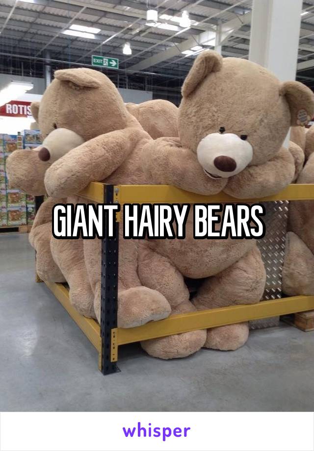 GIANT HAIRY BEARS