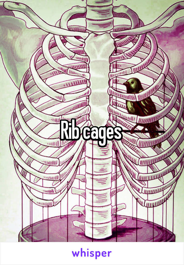 Rib cages 