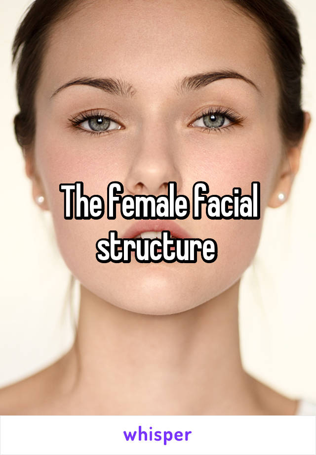 The female facial structure 