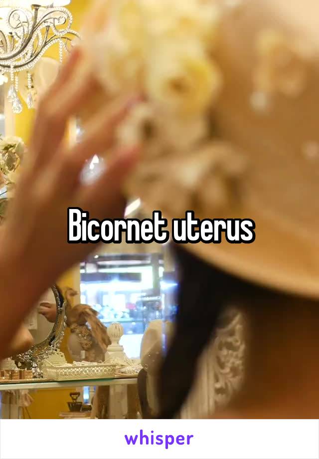 Bicornet uterus