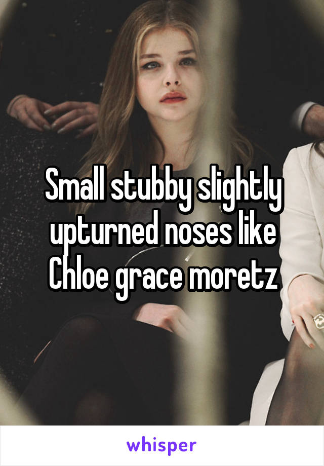 Small stubby slightly upturned noses like Chloe grace moretz