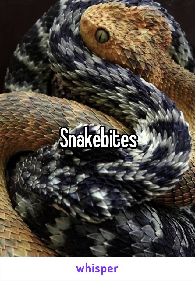 Snakebites