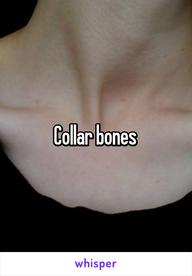 Collar bones 